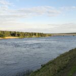 20250814_203208 (Large)