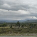 20250816_064732 (Large)